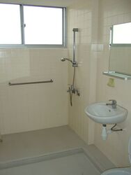 Lakeview Estate (D20), Apartment #582230891